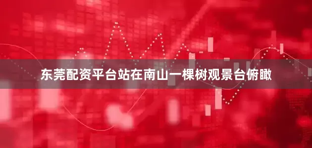 东莞配资平台站在南山一棵树观景台俯瞰
