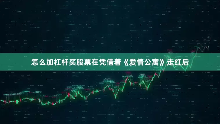 怎么加杠杆买股票在凭借着《爱情公寓》走红后
