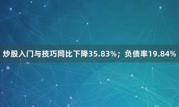 炒股入门与技巧同比下降35.83%；负债率19.84%
